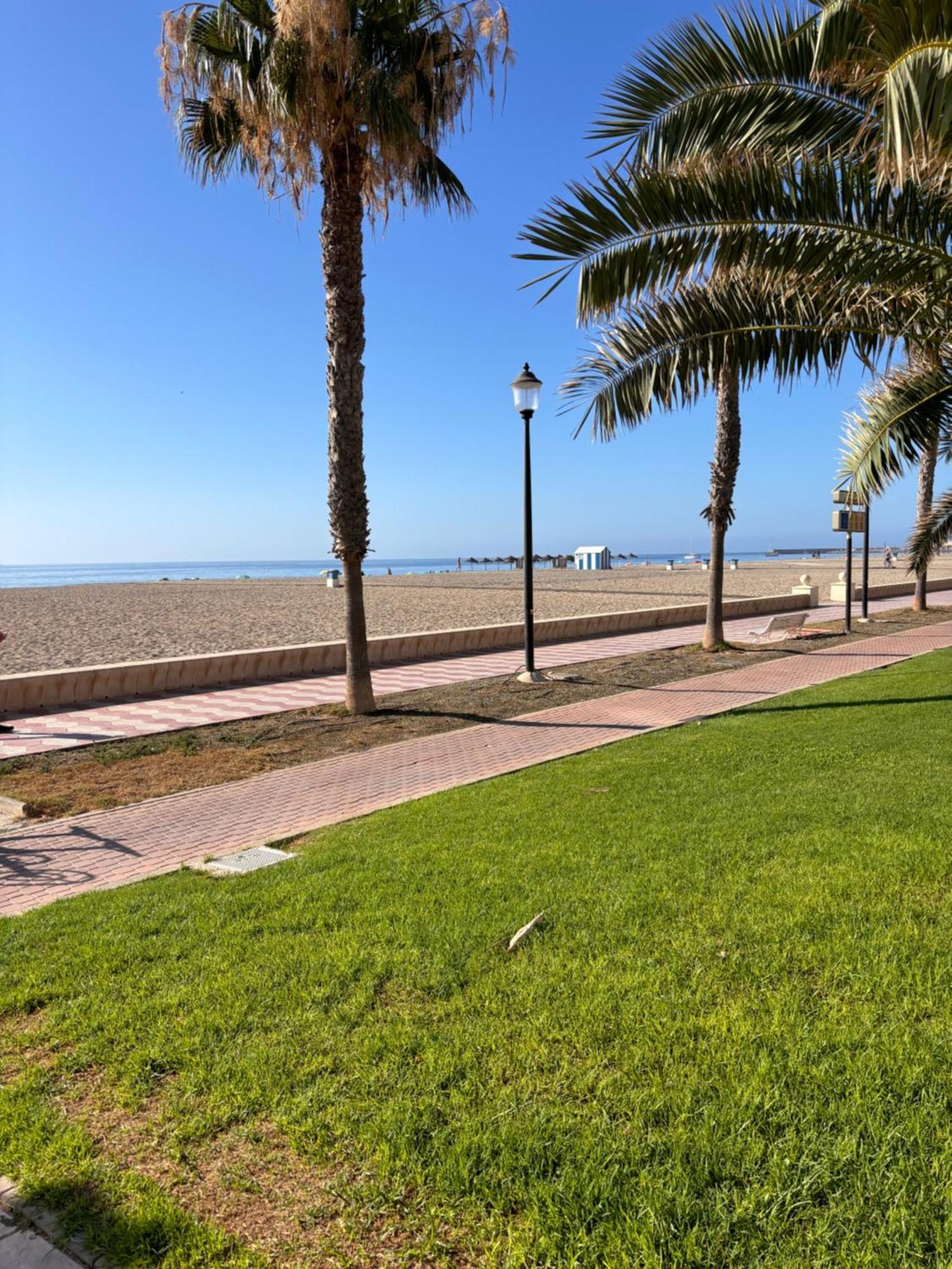 Apartament Olimpic *